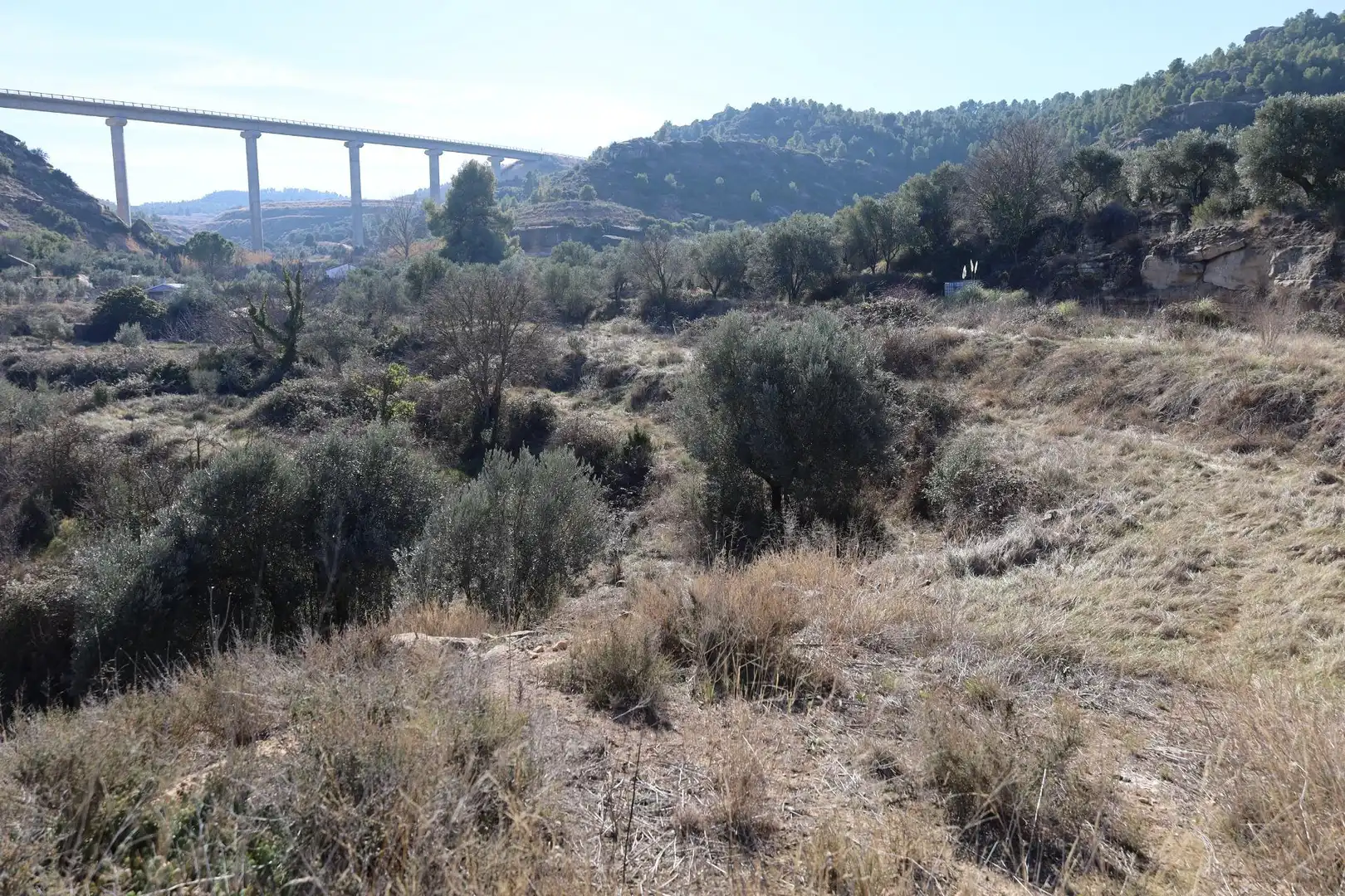 Terreni e lotti in vendita a Camino Polígono 763 Parcela 6204 VUEL MAJ. ALCAÑIZ (TER, imagen 3