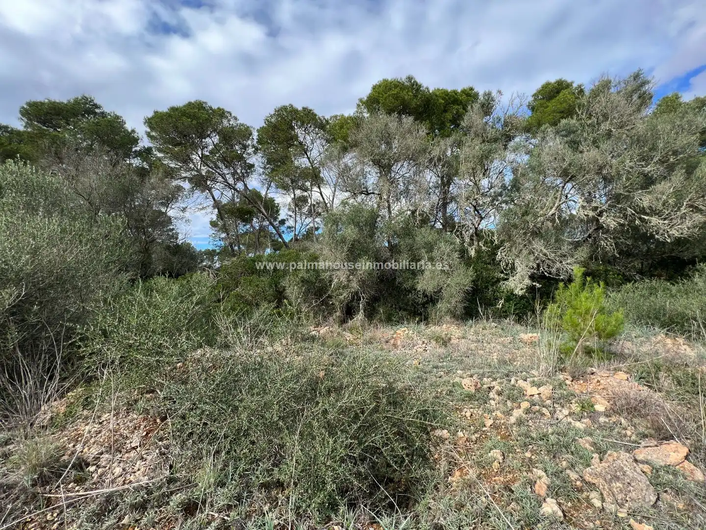 Residencial en venta en Algaida