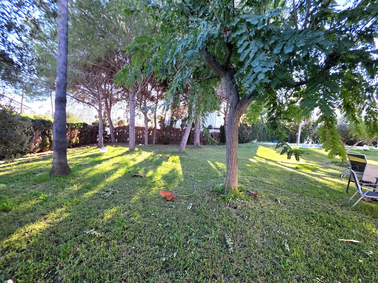 Jardí de Casa o xalet en venda en Castellón de la Plana / Castelló de la Plana amb Jardí privat, Terrassa i Piscina