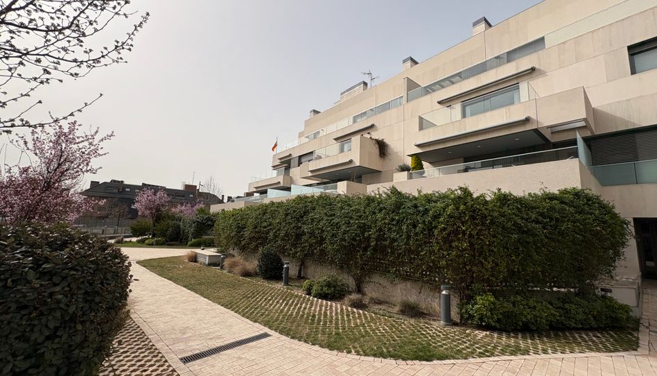 Piso de alquiler en Avenida Víctimas del Terrorismo, Valenoso - Imagen 3