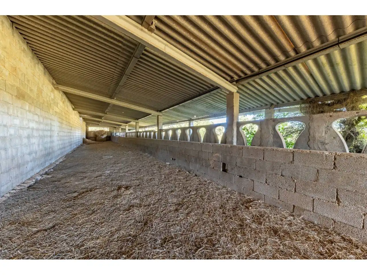 Terreno rustico in vendita a Llucmajor pueblo, imagen 73