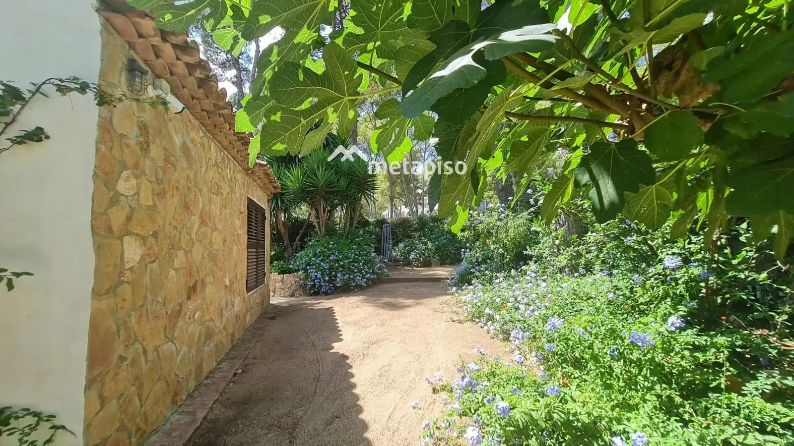 Villa con piscina in vendita a DEL MAR, imagen 62