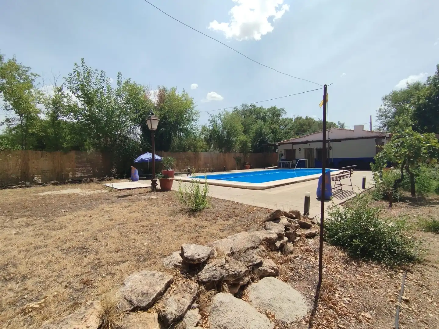 Piscina de Finca rústica en venda en Argamasilla de Alba amb Jardí privat, Piscina i Moblat