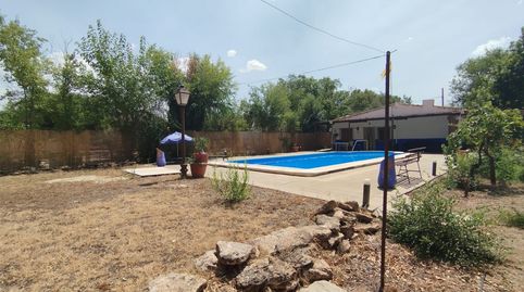 CHALET CON PISCINA A POCOS MINUTOS DE TOMELLOSO Y ARGAMASILLA DE ALBA, imatge 3