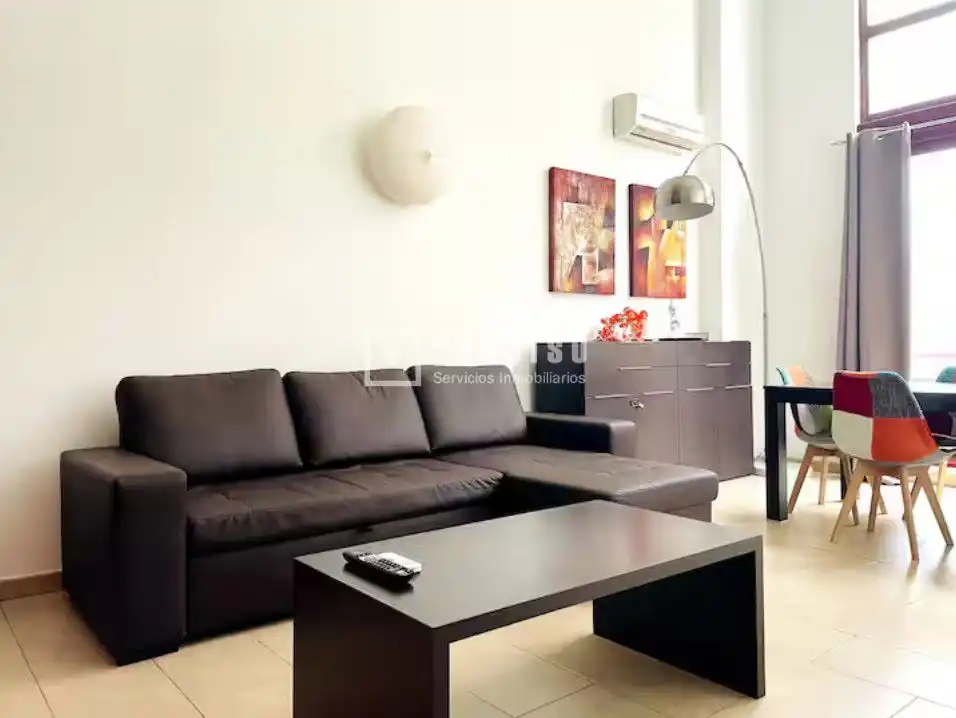 Sala d'estar de Loft en venda en Madrid amb Aire condicionat, Calefacció i Jardí privat