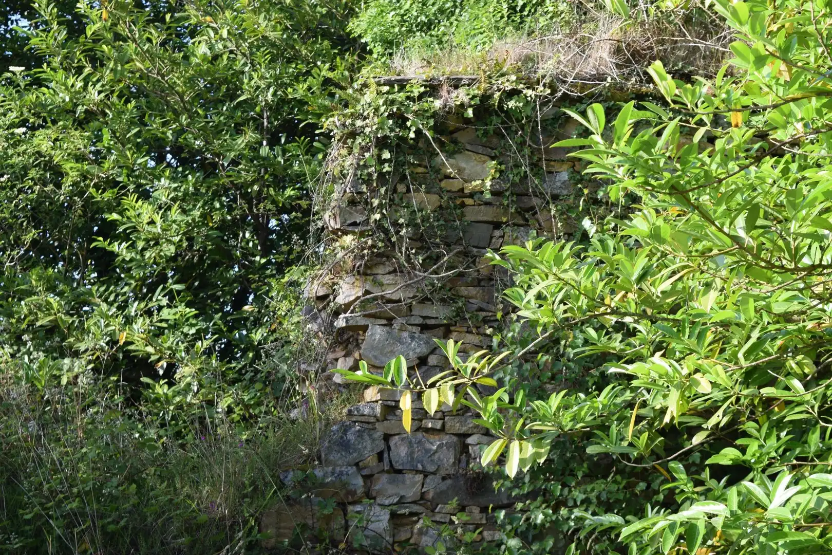 Vista exterior de Casa o chalet en venta en Cudillero