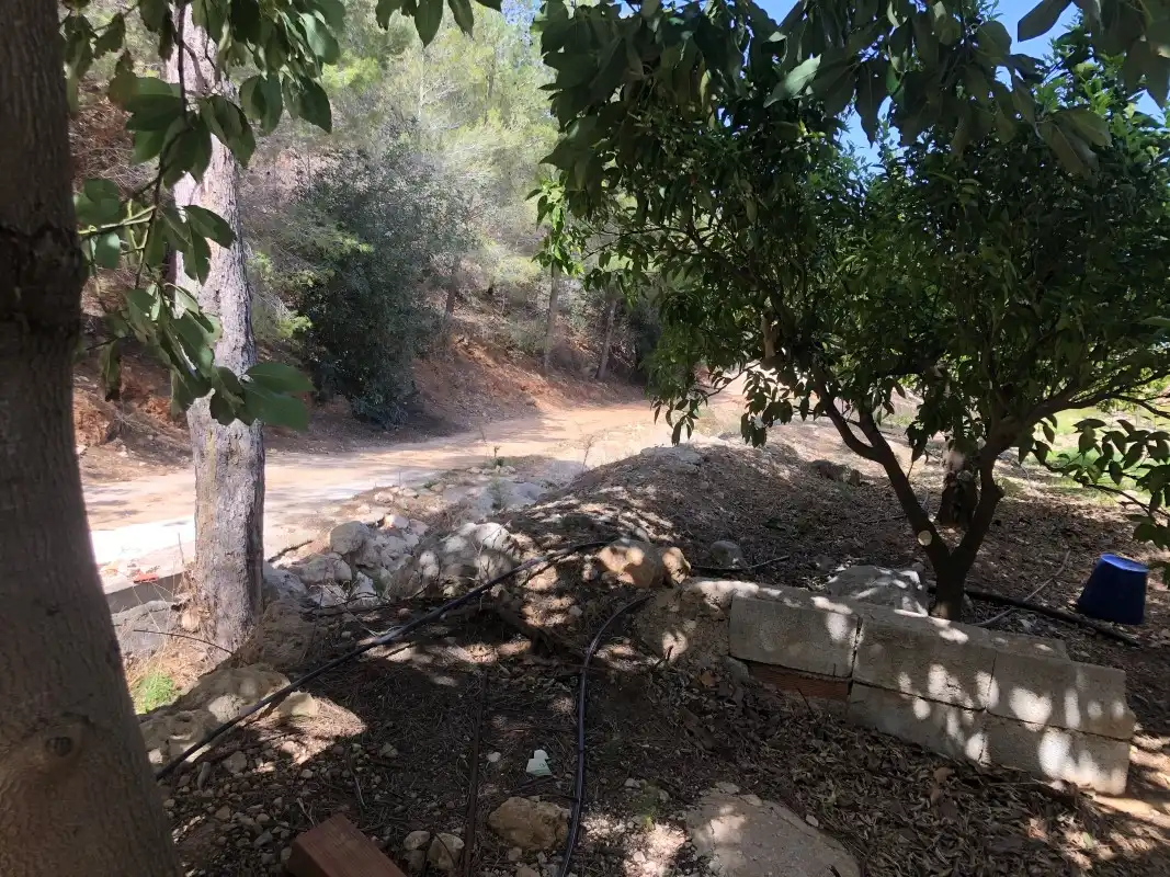Terrain rustique à vendre à Plaça Poligono 11 15, imagen 21