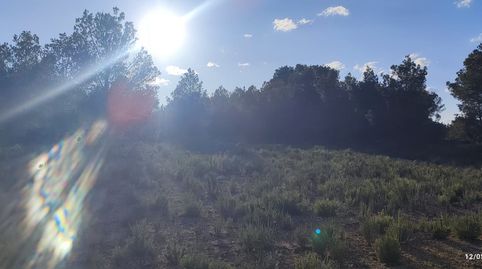Terreno de mas de 10.000m2 con posibilidad de agua, immagine 2