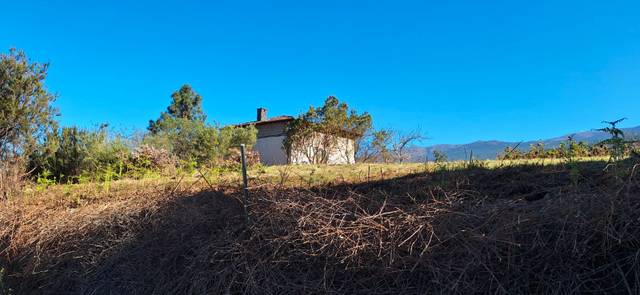 Finca rústica en Venta en Carretera las Llanadas en Palo Blanco