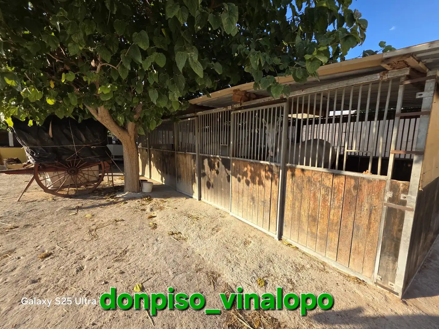 Vista exterior de Finca rústica en venta en Petrer, Alicante