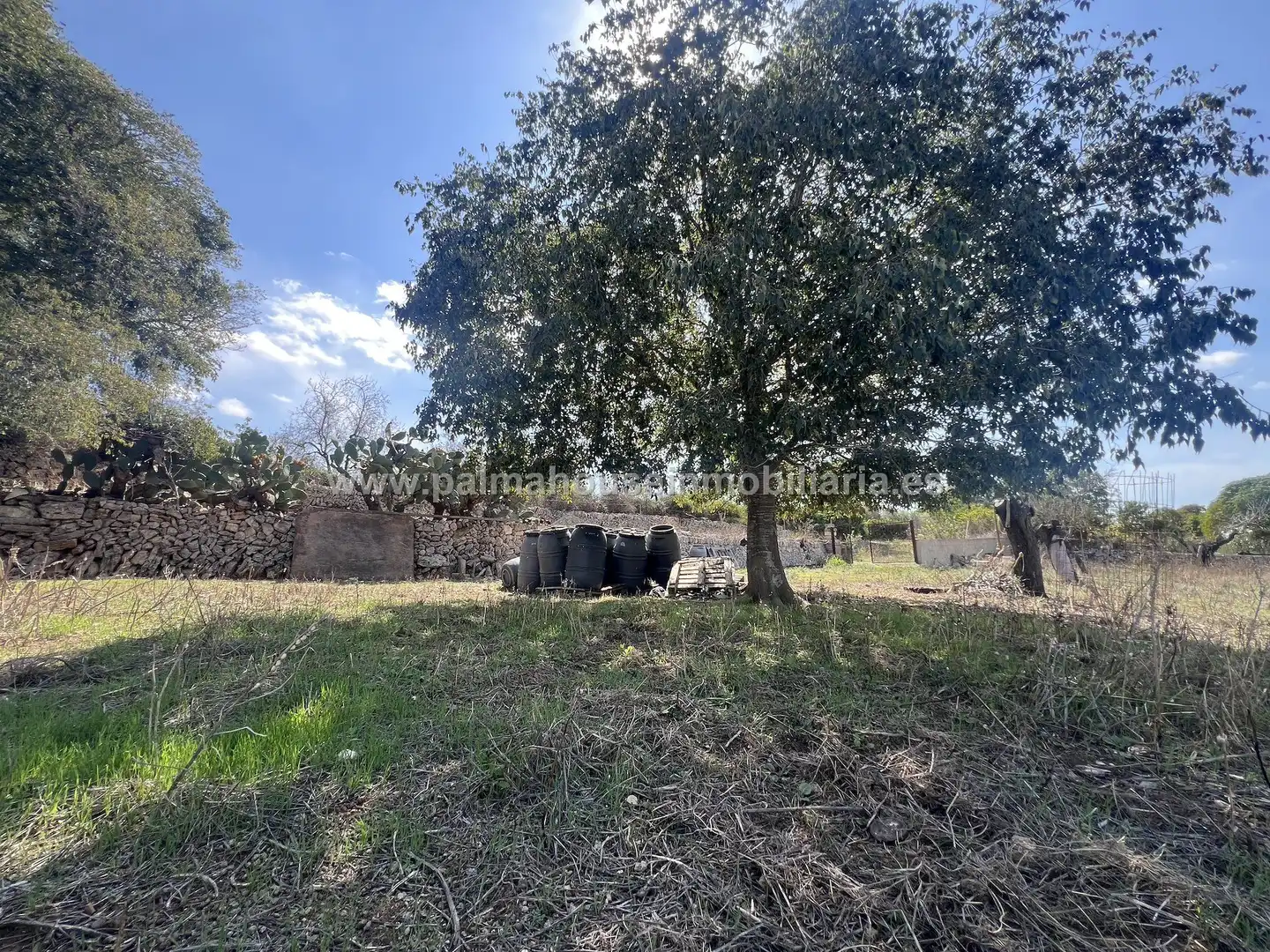 Grundstücke und Bauplätze zum Verkauf in Llubí, imagen 14