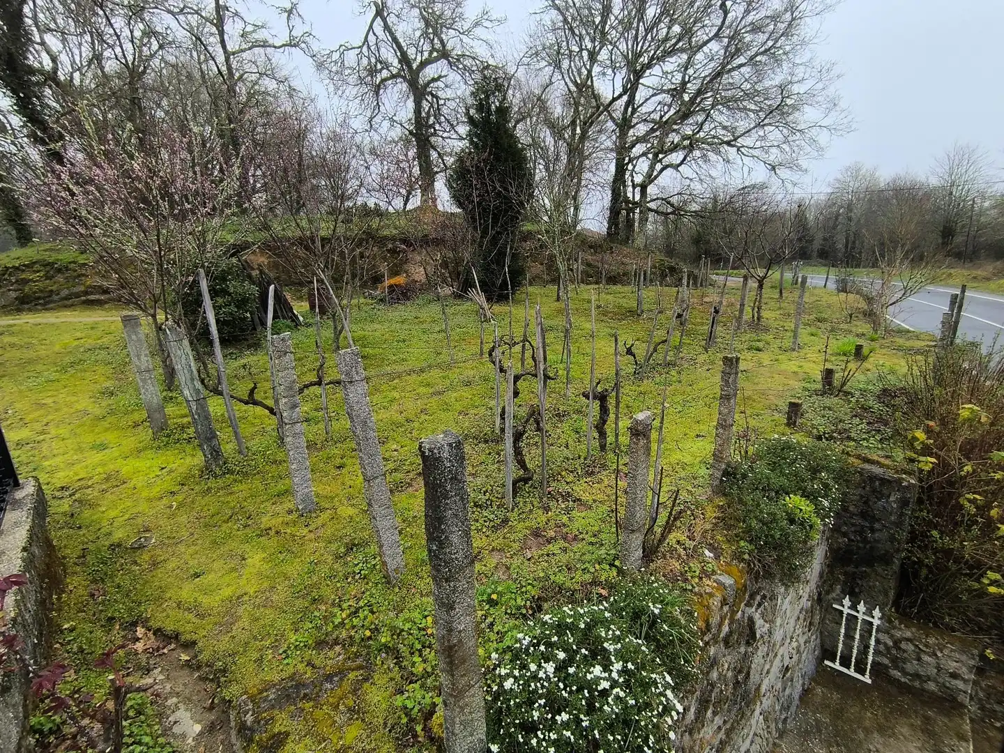 Casa amb jardí en venda a Gomesende, imagen 18