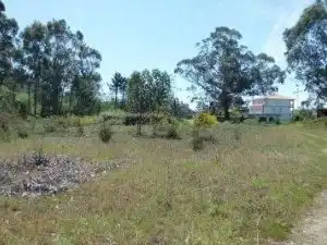 Residential land for sale in Noalla, imagen 30