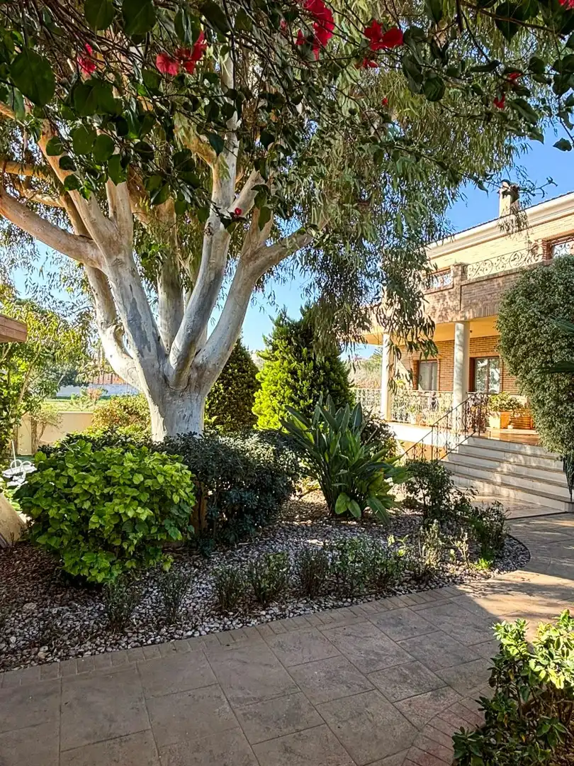 Jardín de Casa o chalet en venta en Rojales con Aire acondicionado, Calefacción y Jardín privado
