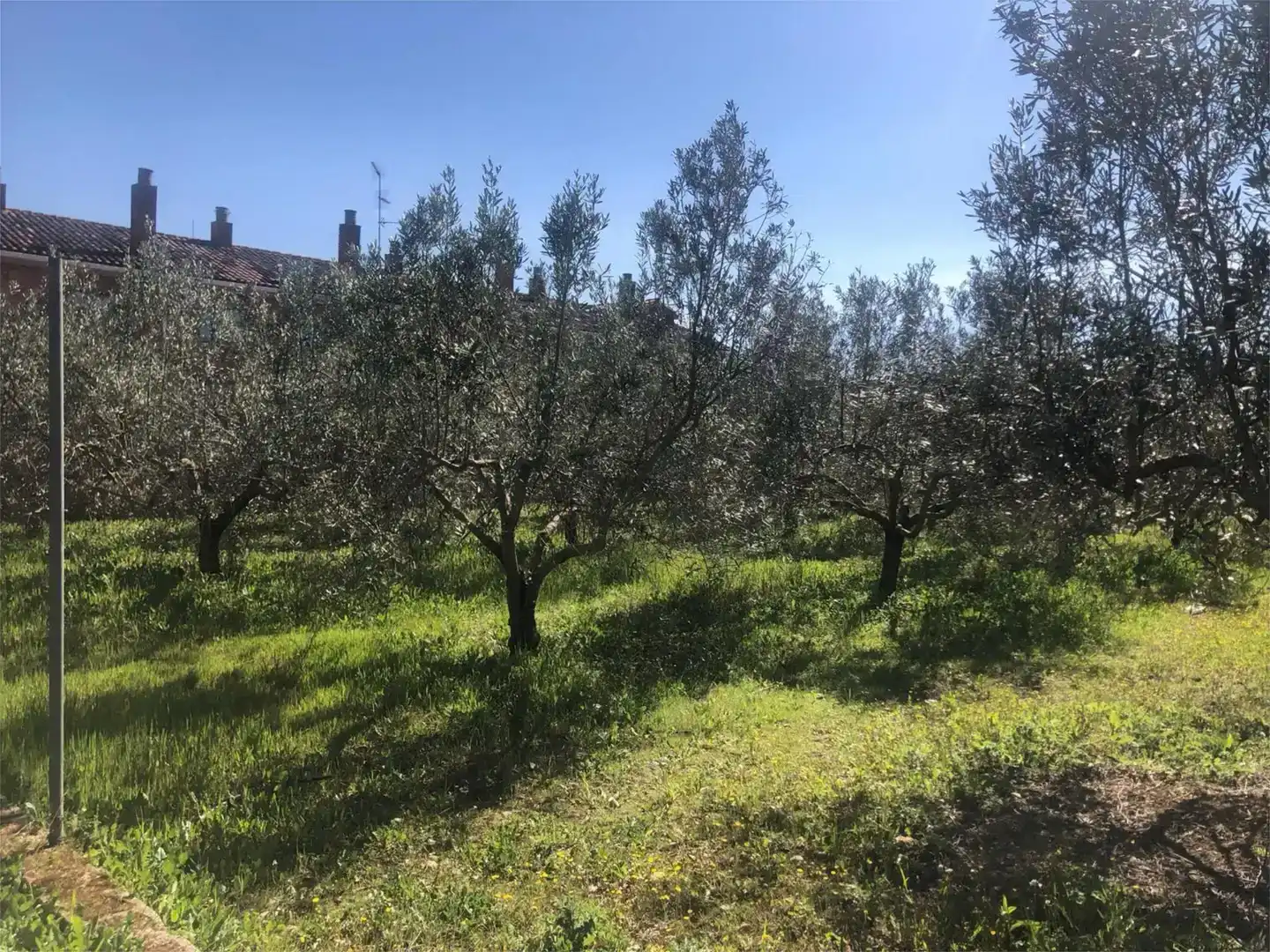 Finca rústica en venda en Olite / Erriberri