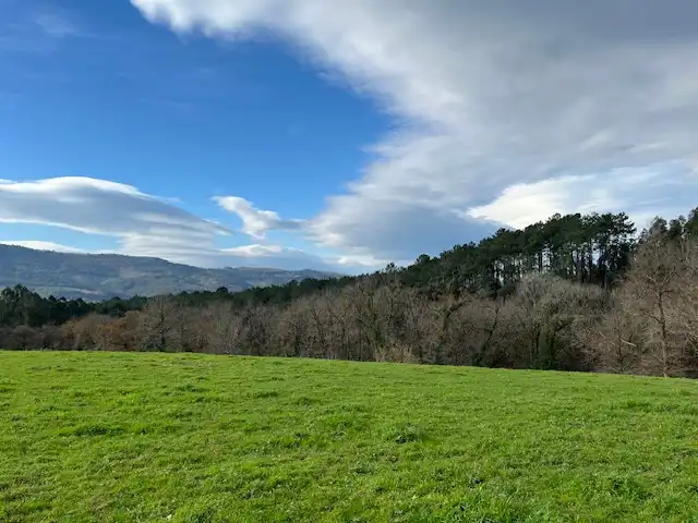 Land for sale in Lezama