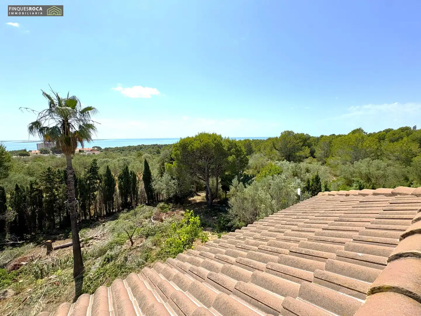 Jardí de Casa o xalet en venda en Alcanar amb Aire condicionat, Calefacció i Jardí privat