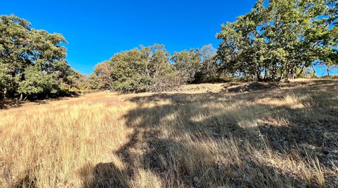 Foto 2 de Terreno en venta en N/a, -1, Pasarón de la Vera, Cáceres