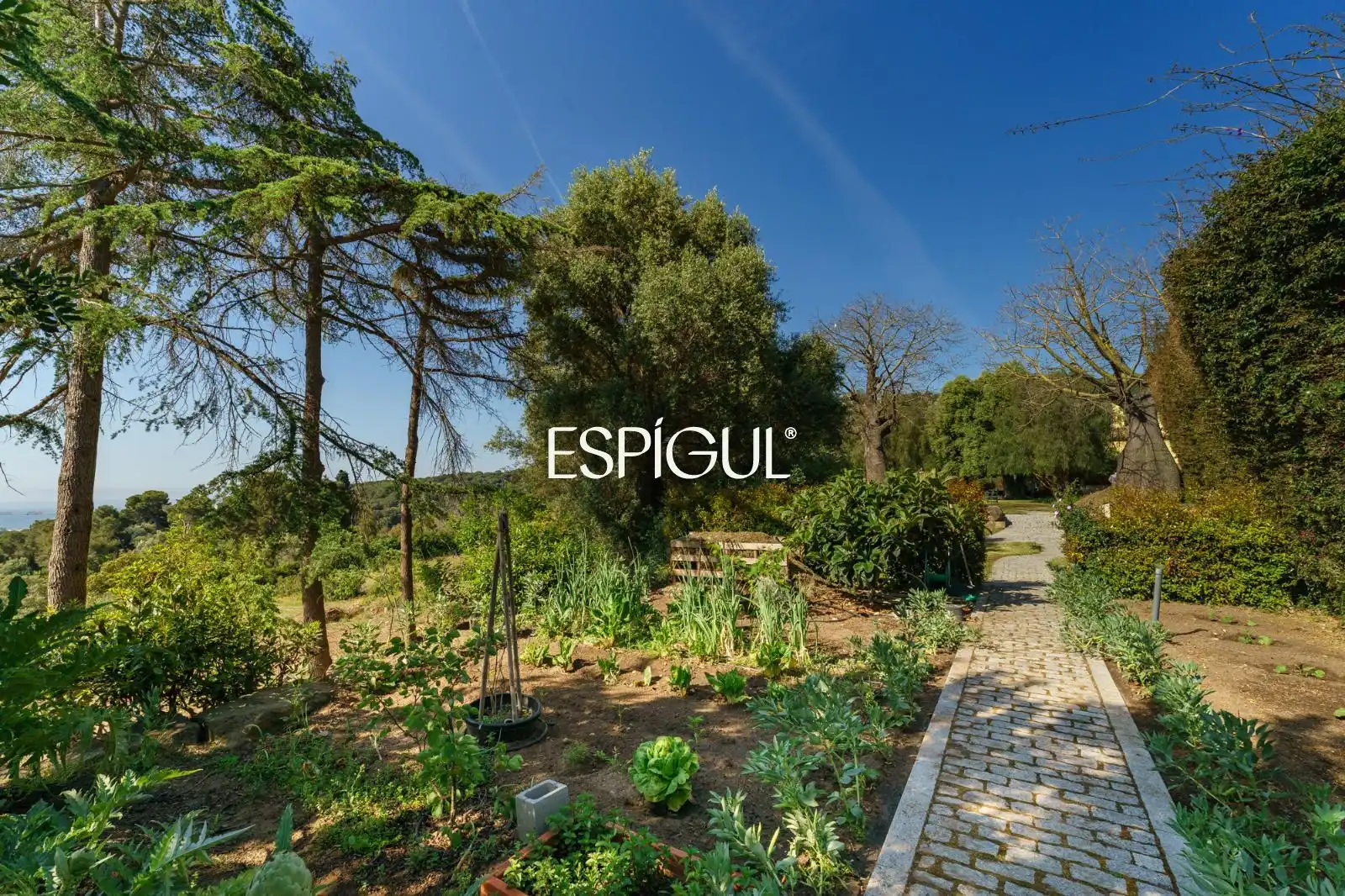 Casa con piscina in vendita a Santa elena, imagen 61