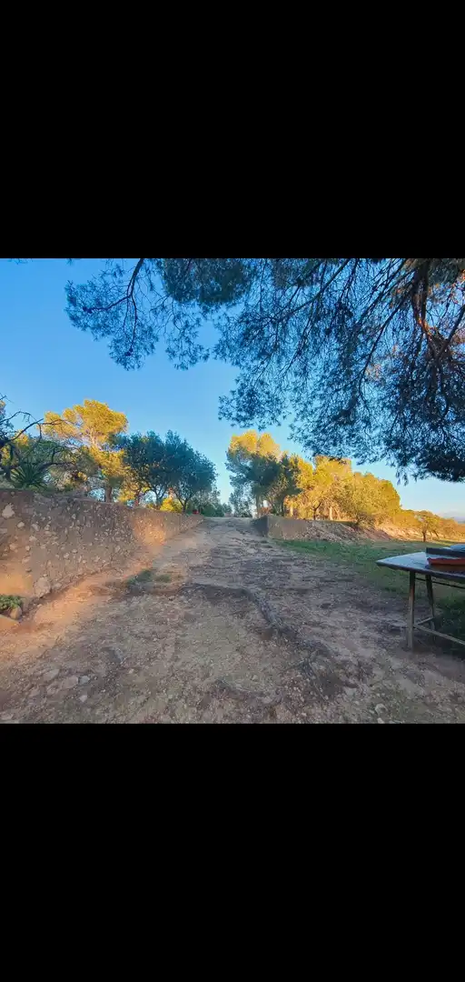 Casa en venta en Móra d'Ebre, imagen 24