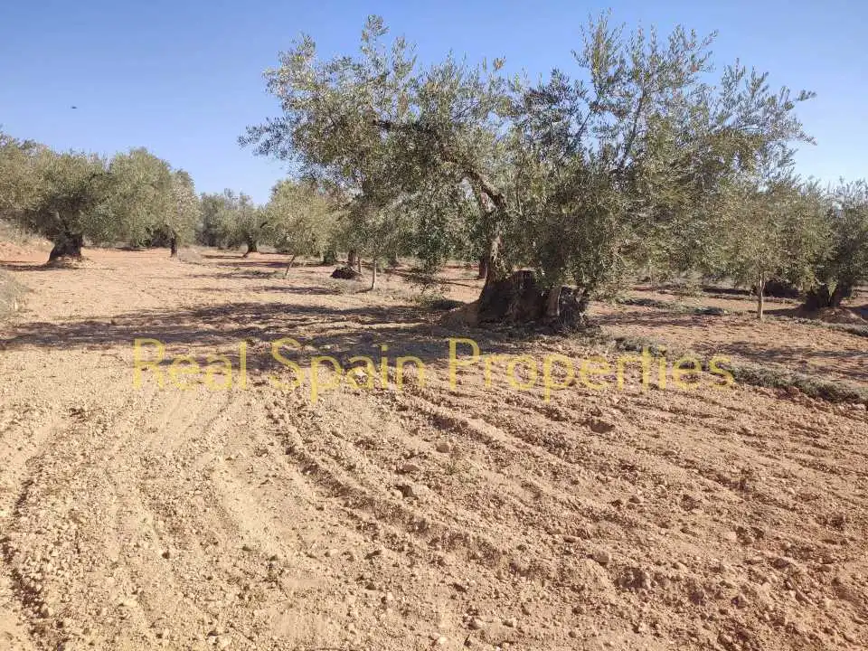 Residential land for sale in Vélez-Rubio, imagen 7