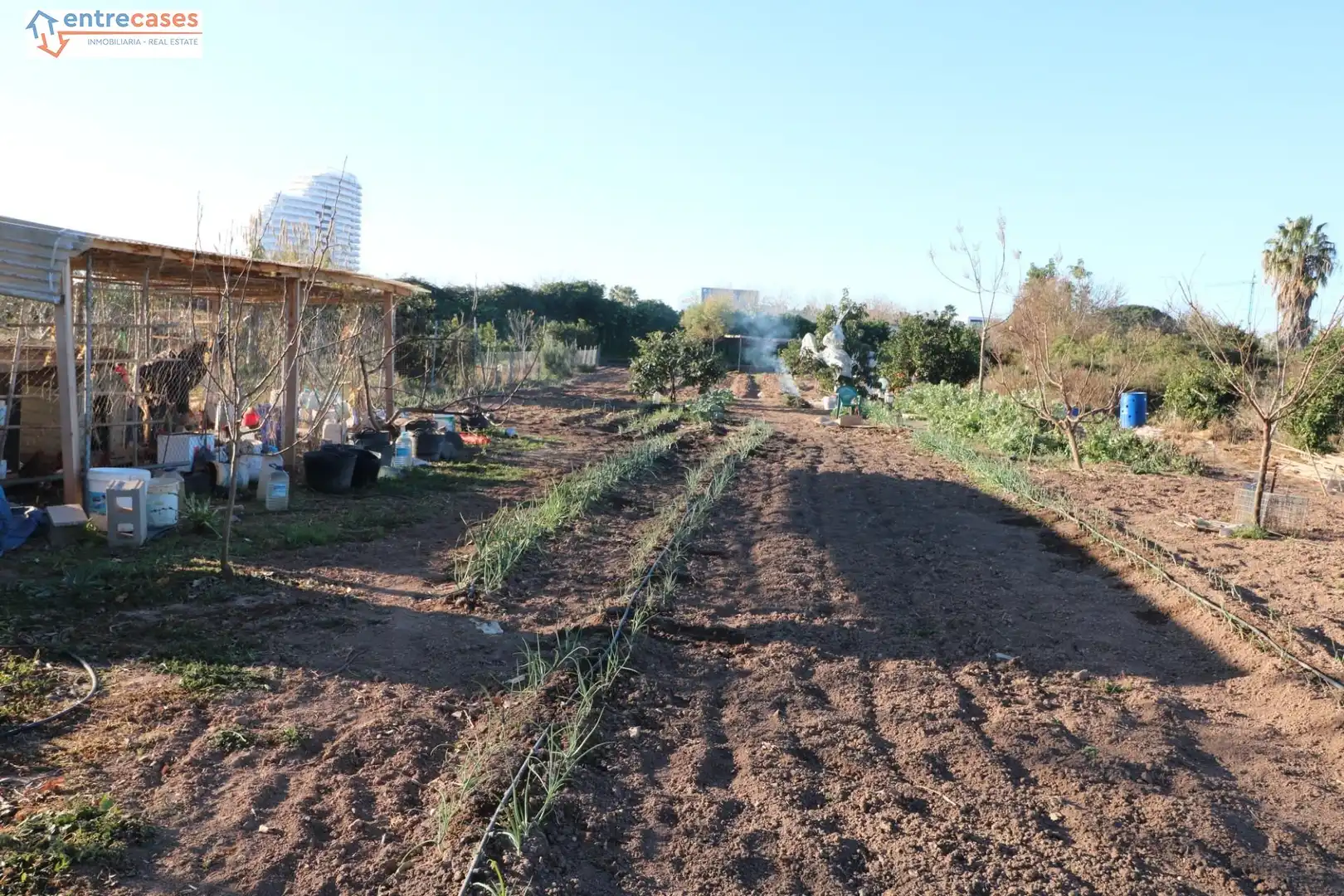 Rural land for sale in Canet d'En Berenguer, imagen 3