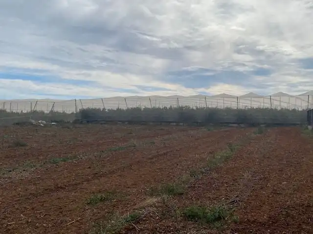 Finca rústica en venda en Onda