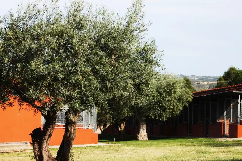Exterior view of Land for sale in Rivas-Vaciamadrid