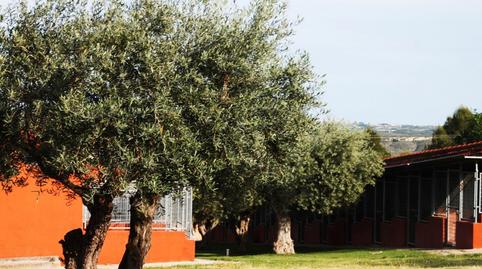 Photo 2 of Land for sale in Calle del Parque Rivas, 24p, Rivas Futura, Rivas-Vaciamadrid