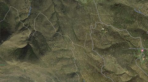 TERRENO RÚSTICOOlivar en la zona de Mas de Sa Senyora.Superficie del terreno 11.411 m2