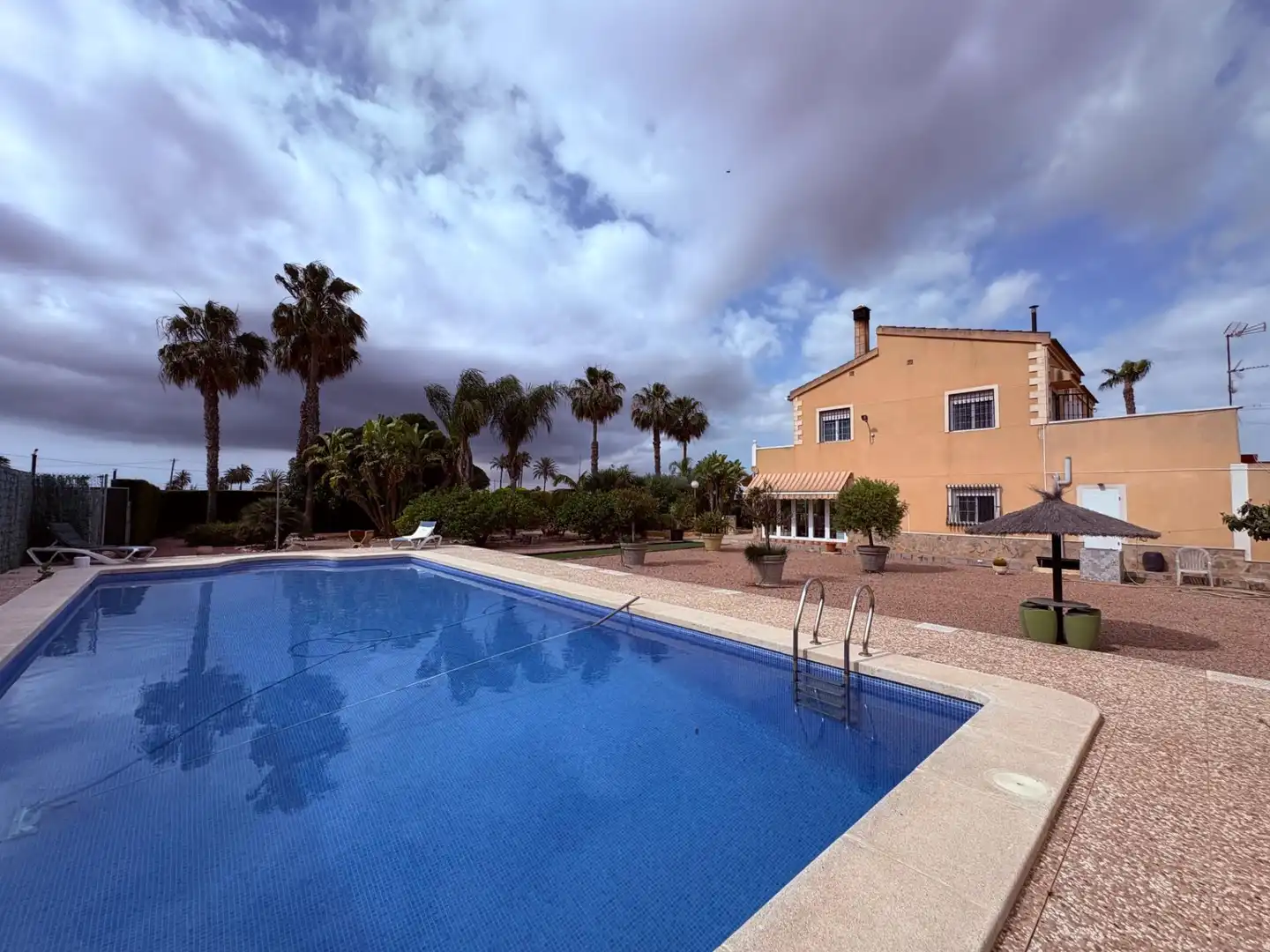 Swimming pool of Houses for sale in Elche / Elx  with Swimming Pool