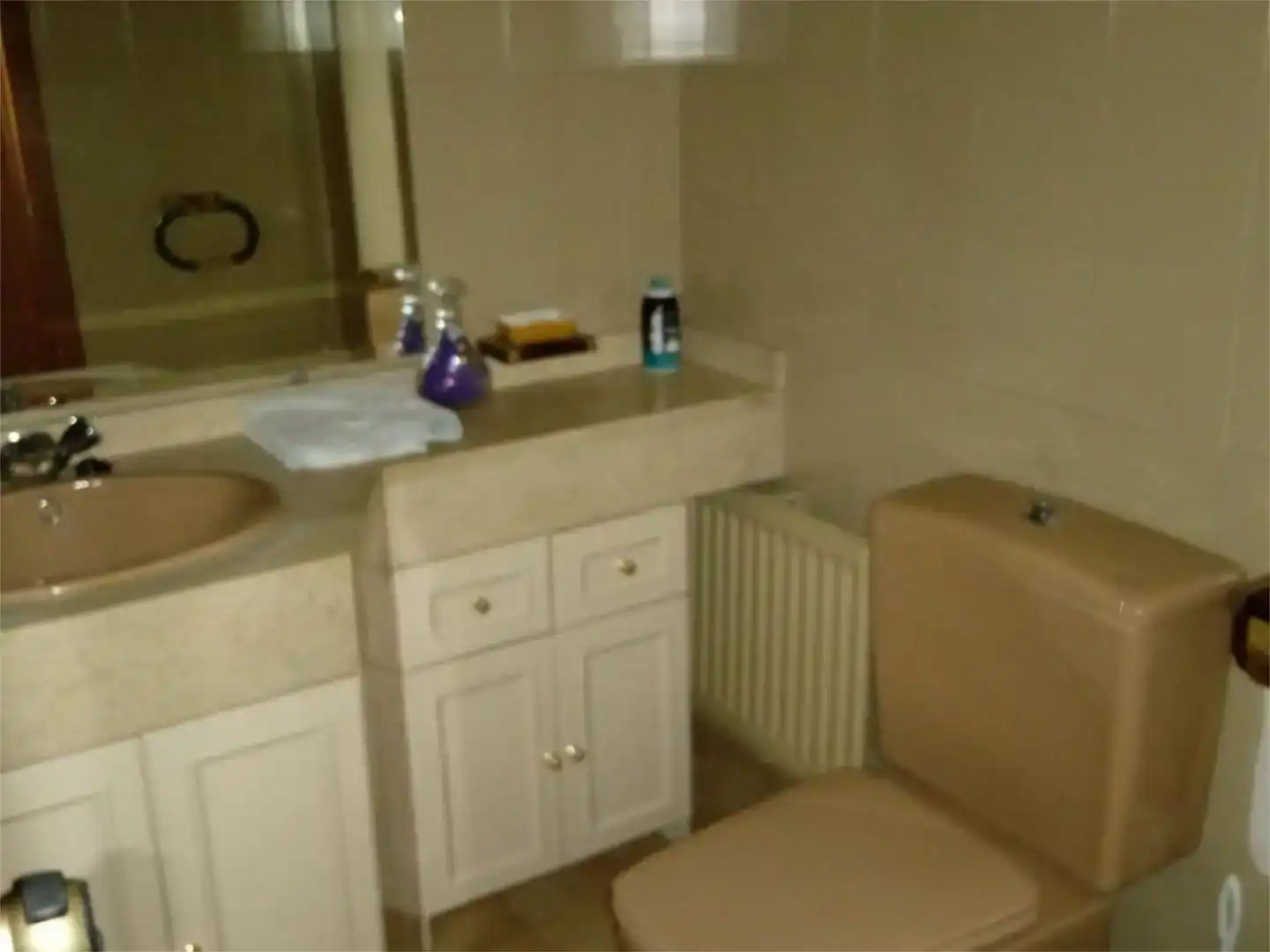 Baño de Piso de alquiler en Madrid con Jardín privado, Parquet y Piscina