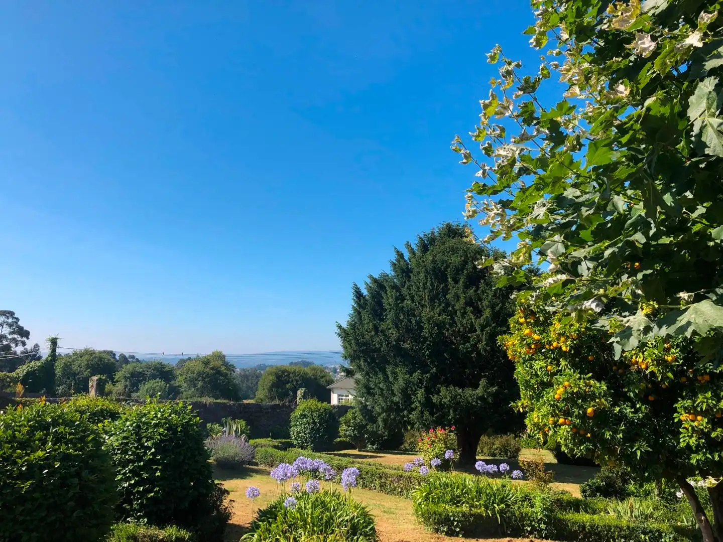 Garten von Haus oder Chalet zum Verkauf in Oleiros mit Privatgarten, Parkett und Terrasse