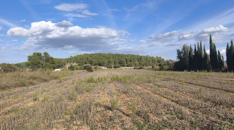 Finca de cultivo zona tranquila