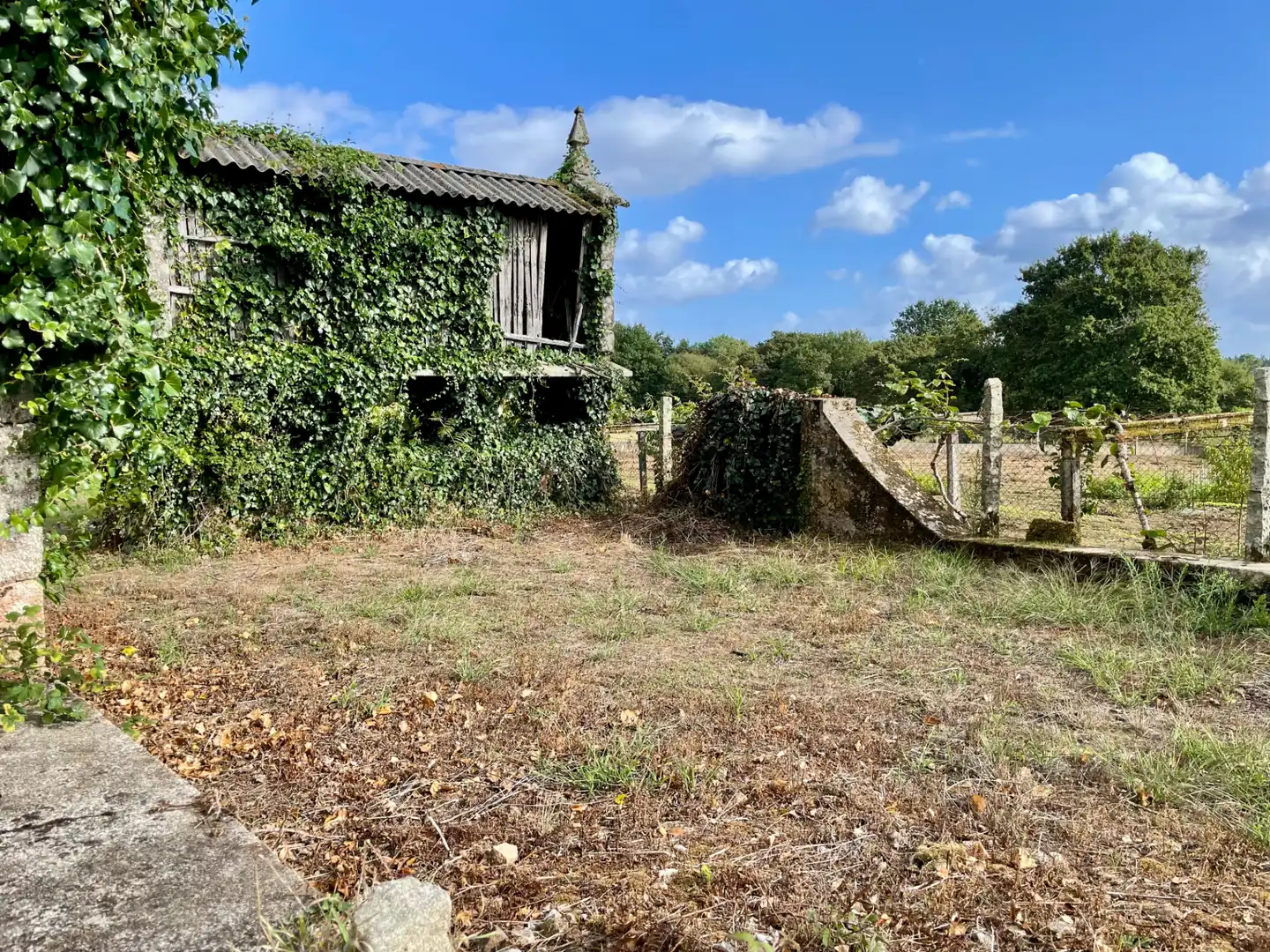 Country homes for sale in Teo