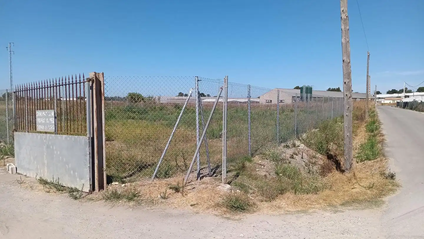 Terreni e lotti in vendita a Los Llanos, imagen 3