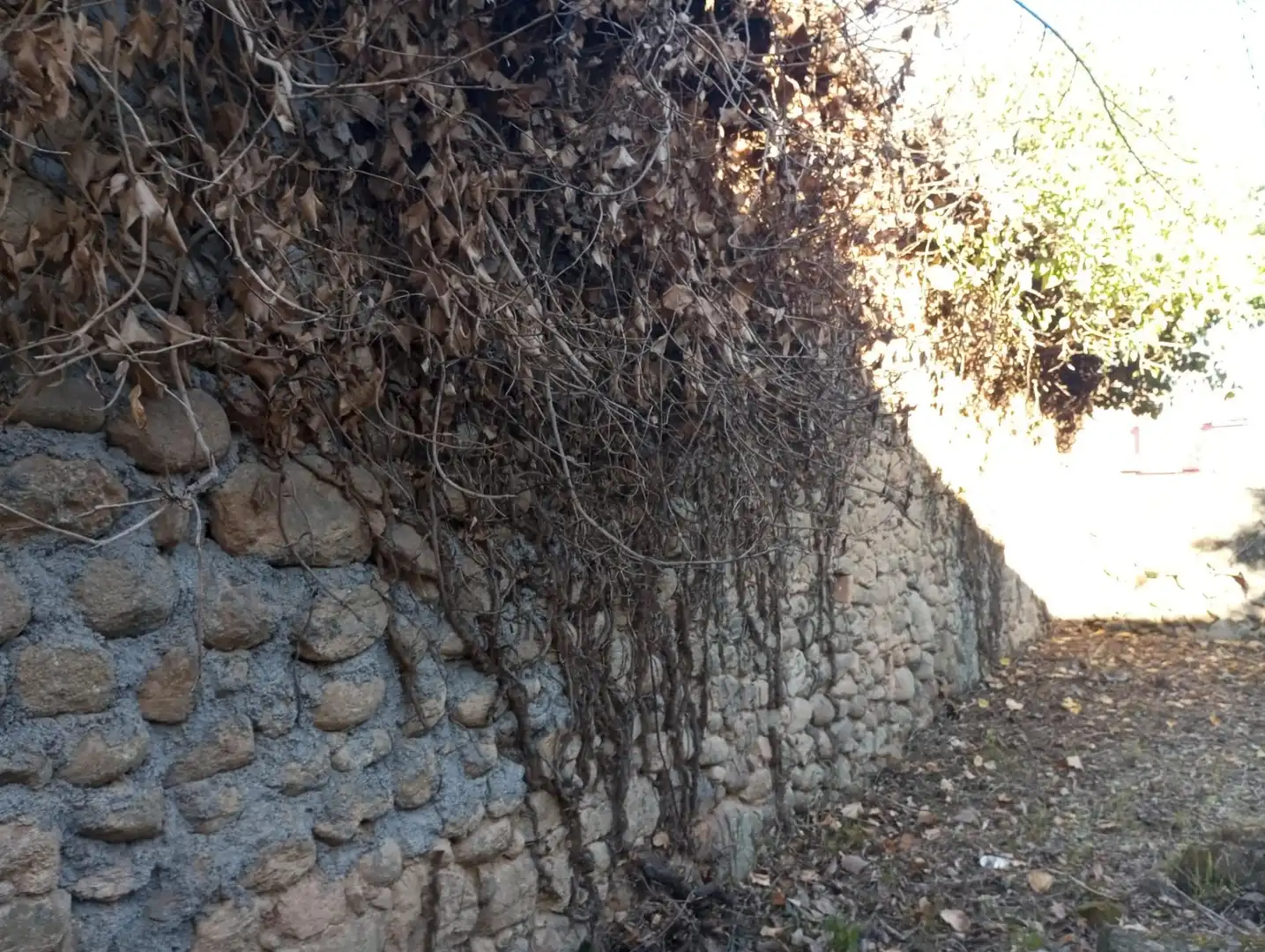 Terreni e lotti in vendita a Calle BURGOS, imagen 22