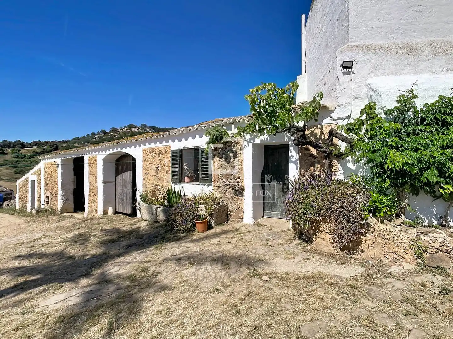 Vista exterior de Finca rústica en venda en Ciutadella de Menorca amb Jardí privat i Traster