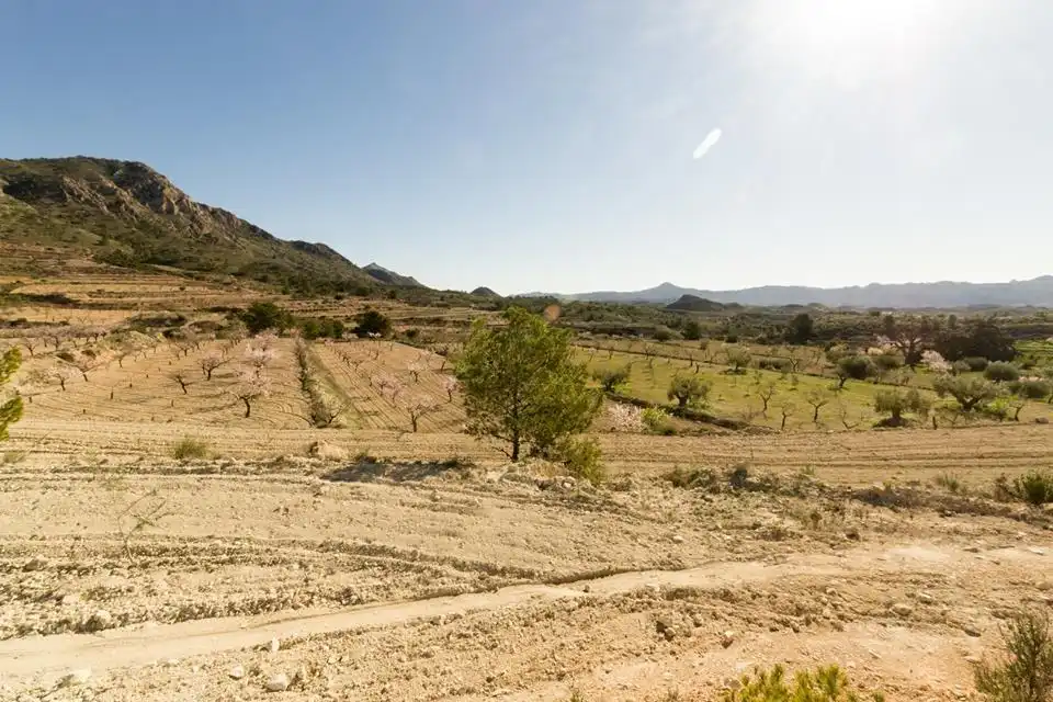 Lands and plots for sale in Abanilla, imagen 13
