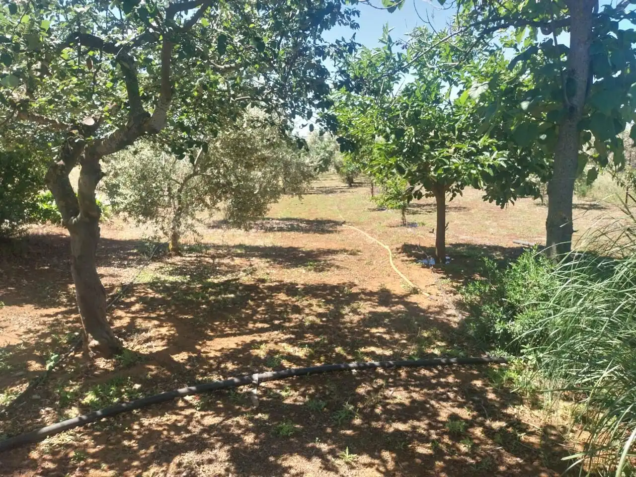 Grundstücke zum Verkauf in Hinojosa del Duque