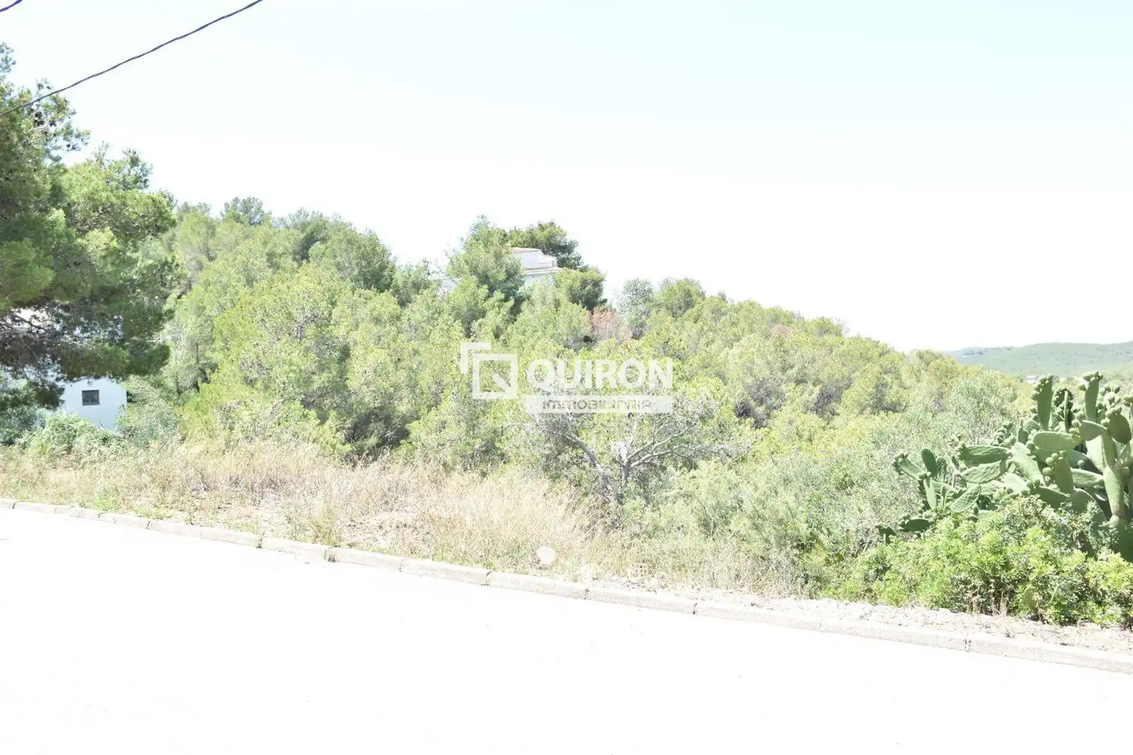Rural land for sale in La Bisbal del Penedès, imagen 5