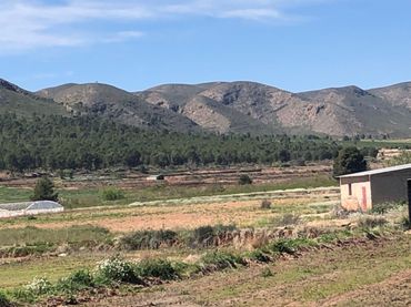 Terrenos y solares en venta en Hellín