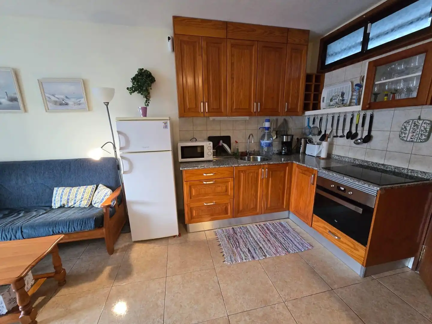 Kitchen of Apartments for rent in Mogán  with Furnished, Balcony and Alarm