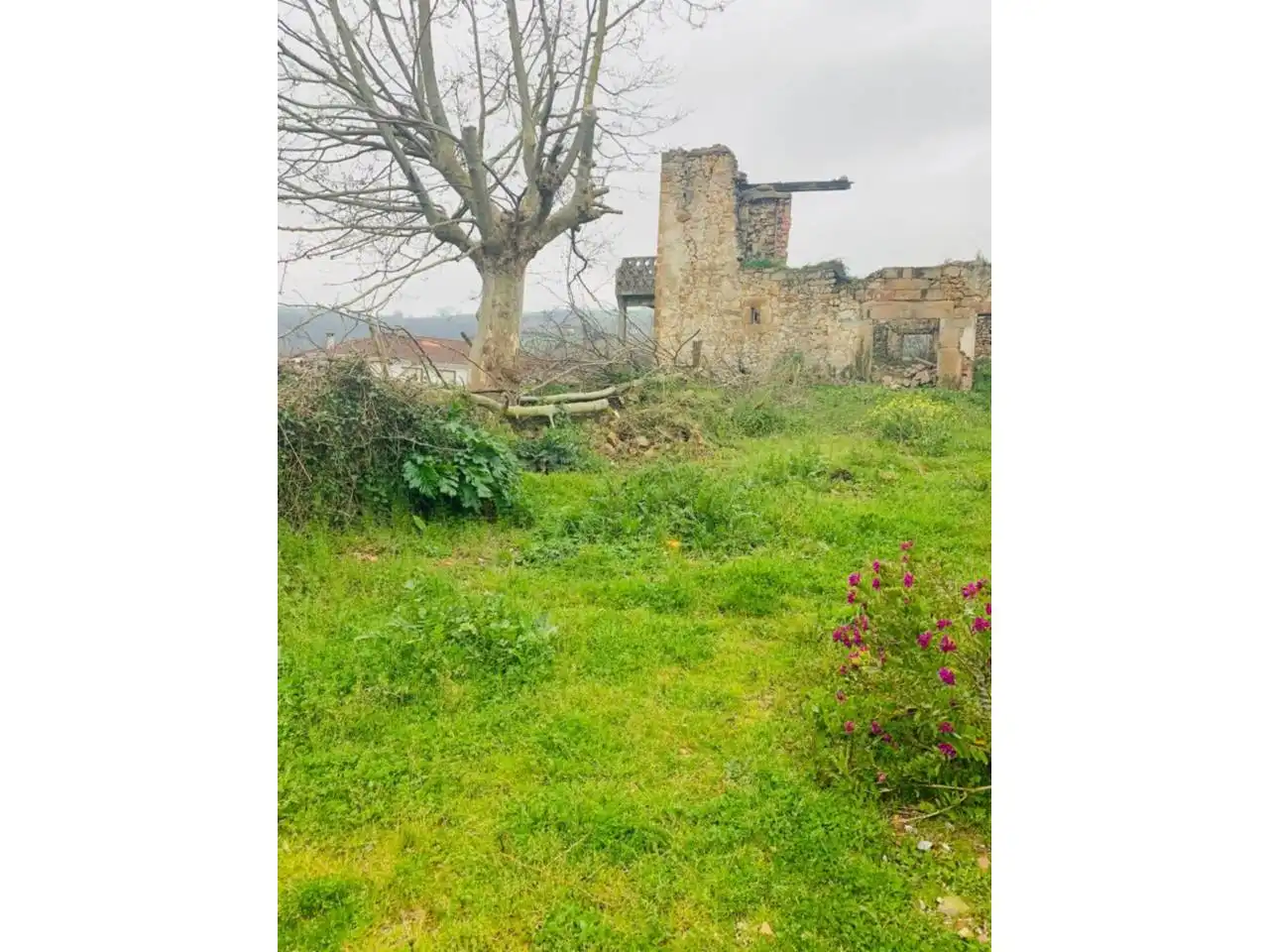 Maison rustique à vendre à Karrantza Harana/Valle de Carranza, imagen 3