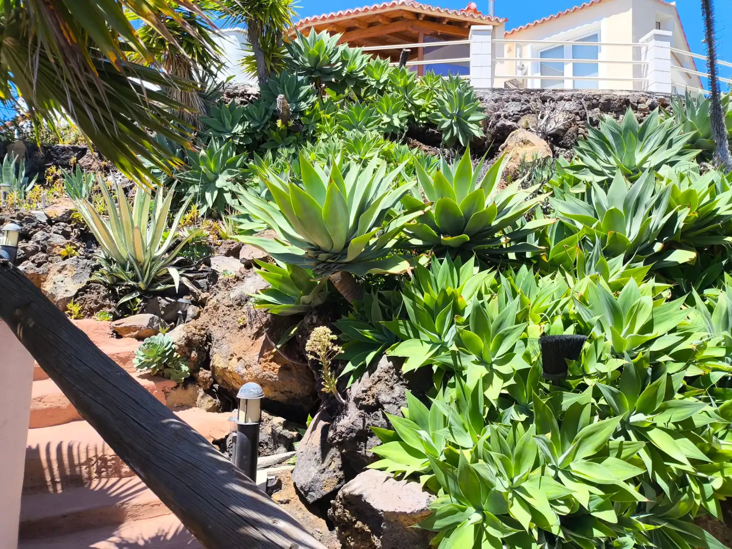 Jardí de Casa o xalet en venda en El Paso amb Aire condicionat, Calefacció i Jardí privat