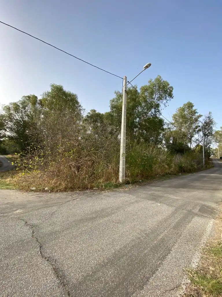Grundstücke und Bauplätze zum Verkauf in Avenida Proserpina 60, imagen 6