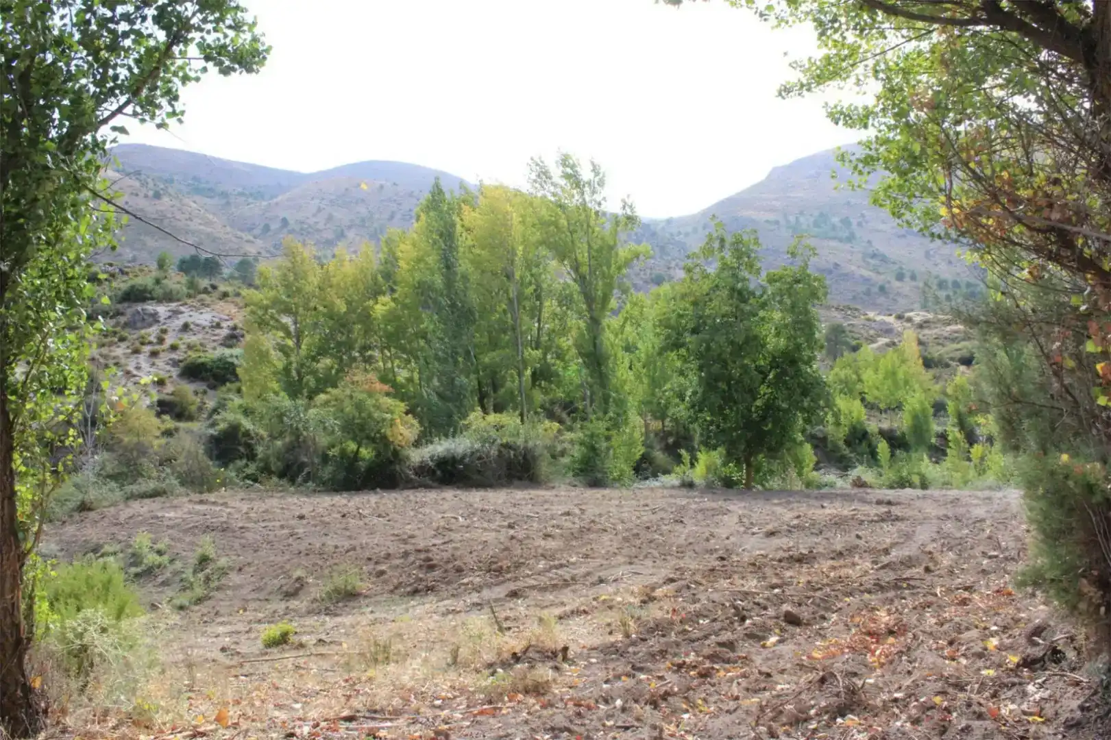 Finca rústica en venta en Quéntar