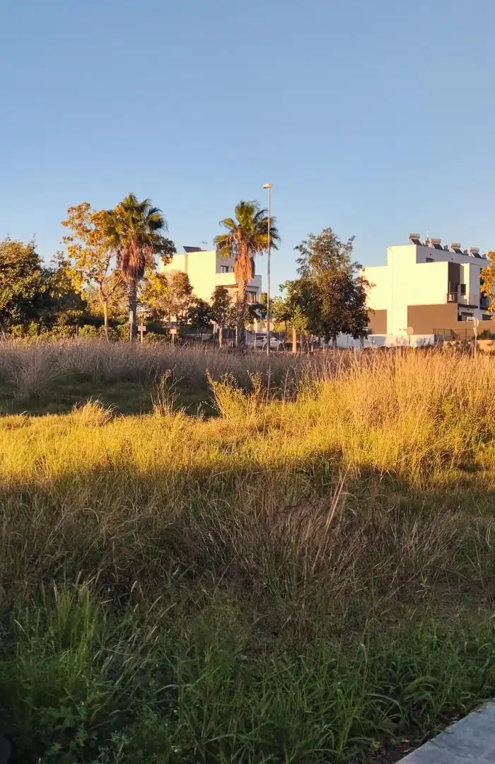 Terreno residencial en venta en Ibèrica 256, imagen 18