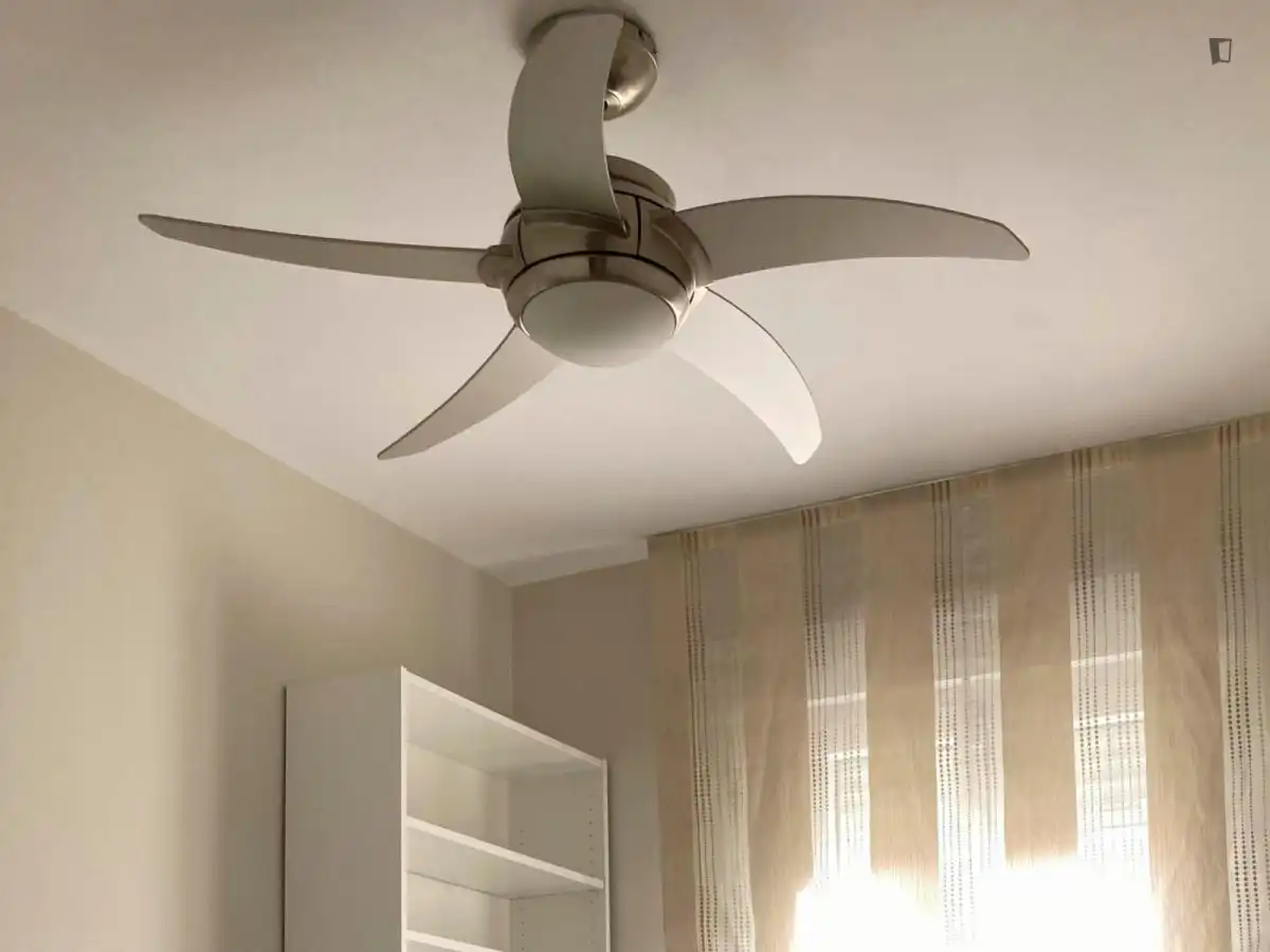 Habitación en El Cónsul - Ciudad Universitaria - El Romeral