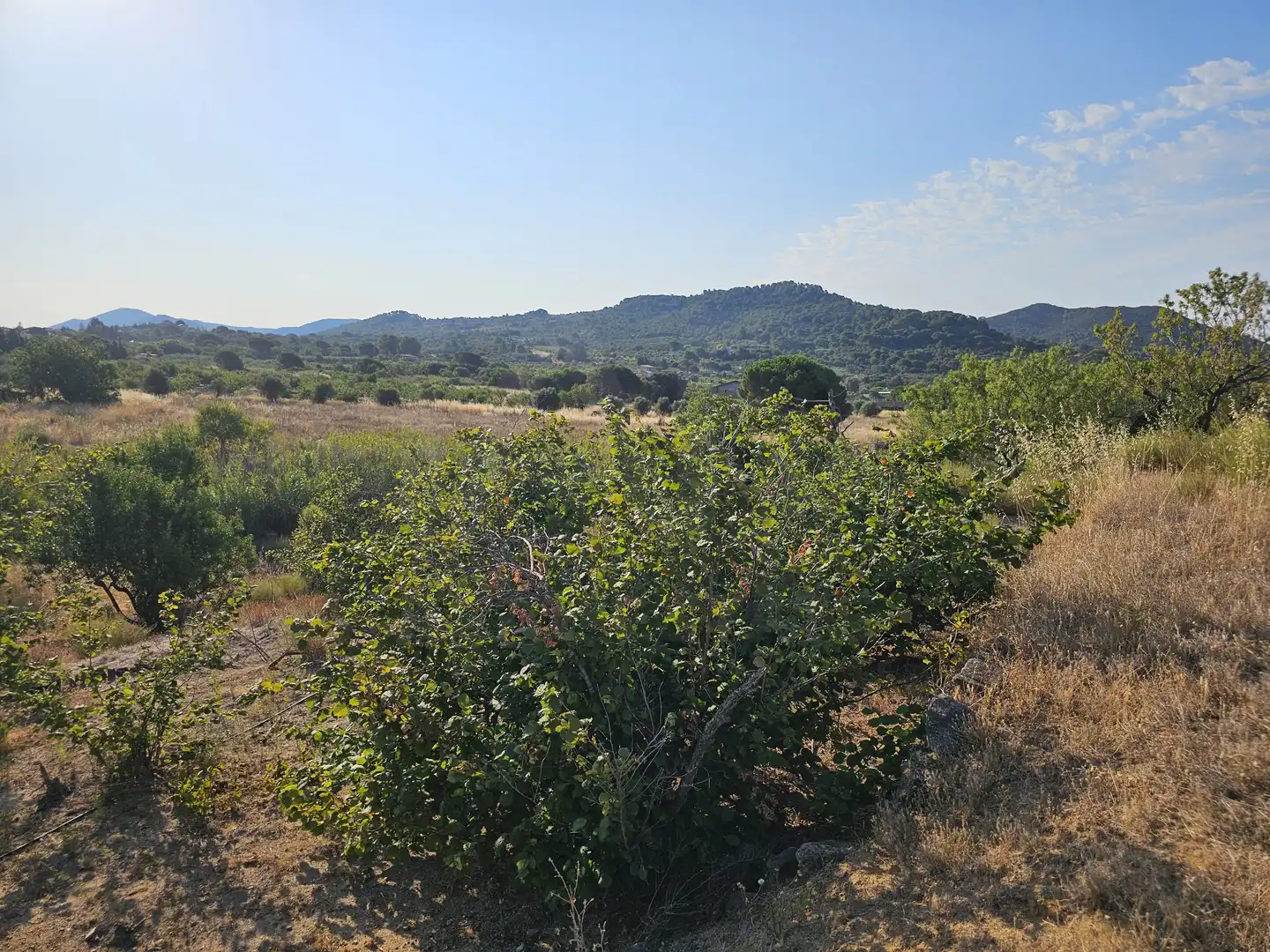 Terrain rustique à vendre à Alforja, imagen 30